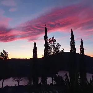 Mallorquin Malaga